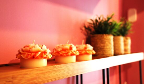 Peonijas zieds. Divas krāsas. Vasara